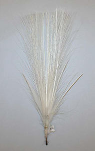 Aigrette