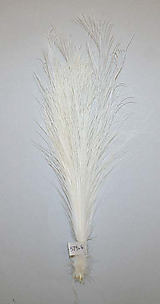 Aigrette