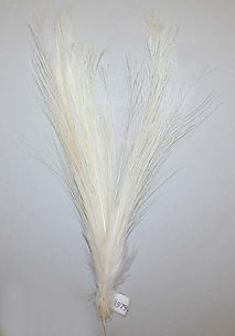Aigrette