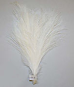 Aigrette