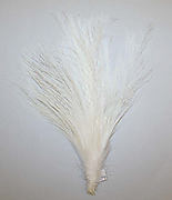 Aigrette