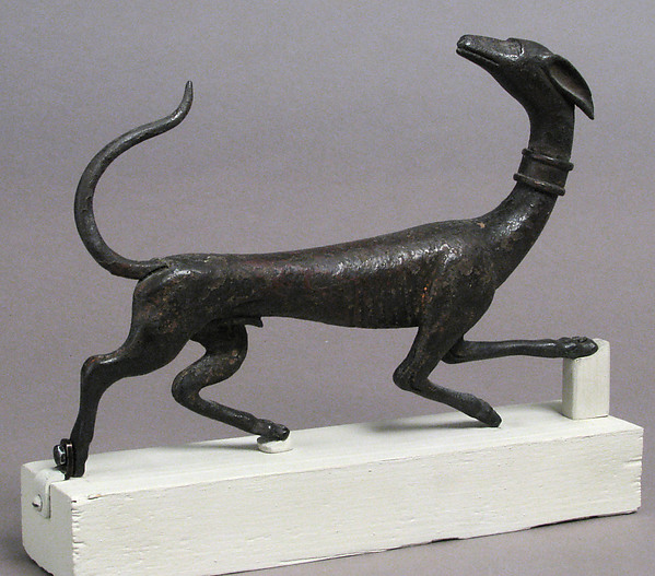 Hunting Dog