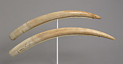 Pair of Walrus Tusks