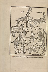 Peregrinatio in terram sanctam.