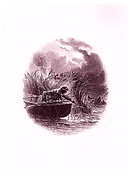 The Cooper Vignettes