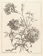 [Small Bouquets Tied With A Ribbon]