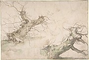 Studies of Two Pollard Willows; Verso: Wide Landscape Prospect