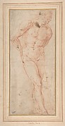 Standing Male Nude with Hands behind Back