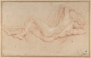 Hermaphrodite