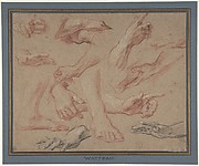 Studies of Hands and Feet