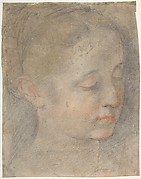 Head of a Young Woman Looking to Lower Right