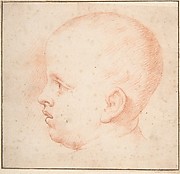 Child's Head