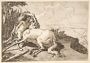 Centaur Embracing a Satyress