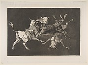 Fools' (or Little Bulls') Folly (Disparate de tontos (or toritos), from the Disparates, plate D