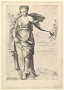 Flora