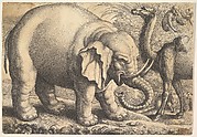 Elephant and Camel