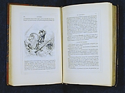 Histoire de l'Empereur Napoleon
