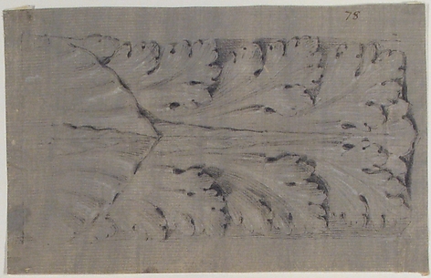 Design for a Leaf Motif