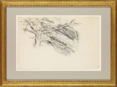 Large Pine, Study
