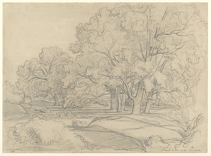 Plateau de la Mare aux Fées. Forest of Fontainebleau