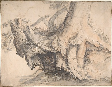 Study of a Tree
