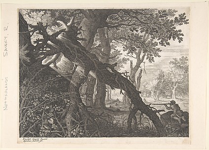 A Forest with a Rabit Hunt