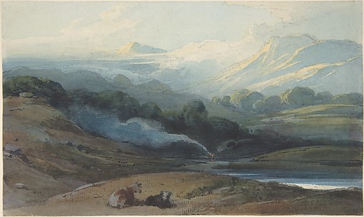 Cattle Resting in a Mountainous Landscape