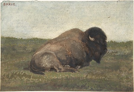 Bison Lying Down