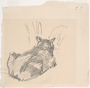 A Cat Resting on All Fours, Seen from Behind