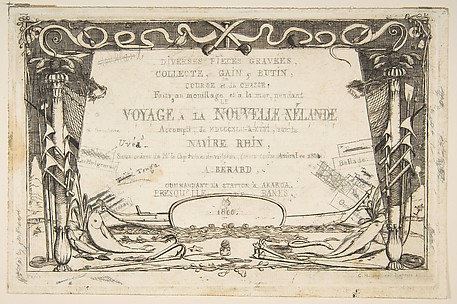 Cover: The Voyage to New Zealand (1842 - 46)