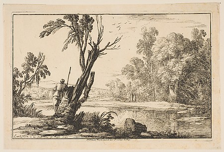 Man Seen From Behind