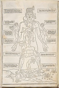 Fascicolo di medicina