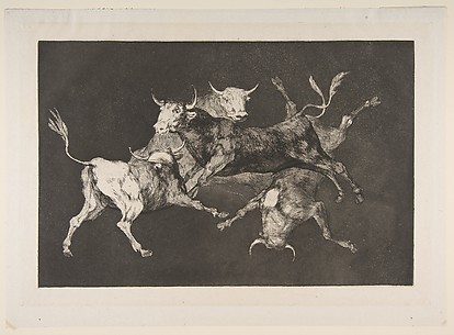 Fools' (or Little Bulls') Folly (Disparate de tontos (or toritos), from the Disparates, plate D