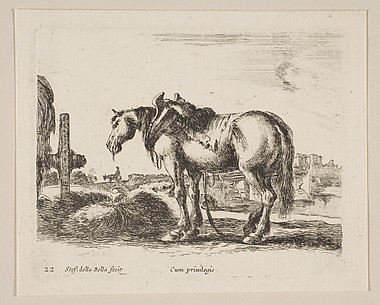 Cart Horse