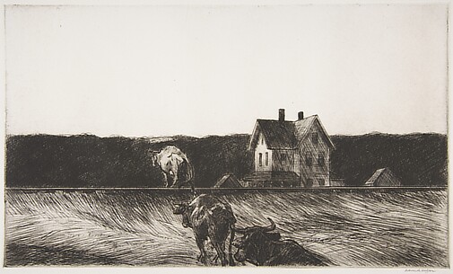 American Landscape