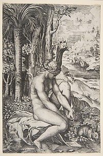 Venus Wounded by the Rose's Thorn