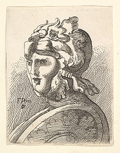 Copy of Helmeted Head