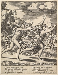 Daphne Flees Apollo and is Transformed into a Laurel from The Story of Apollo and Daphne