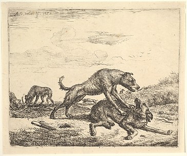 Fighting Dogs, from Different Animals
