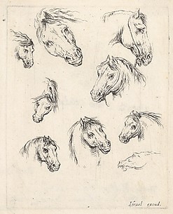 Nine Studies of Heads of Horses, from Various Heads and Figures (Diverses têtes et figures), plate 17