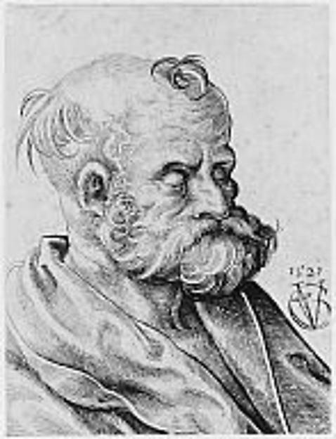 Bust of a Bearded Old Man