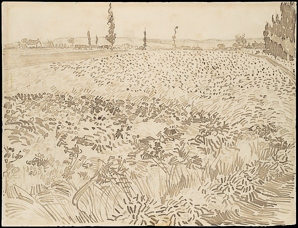 Stunning Image of Vincent Van Gogh and Wheat Field in 1888 