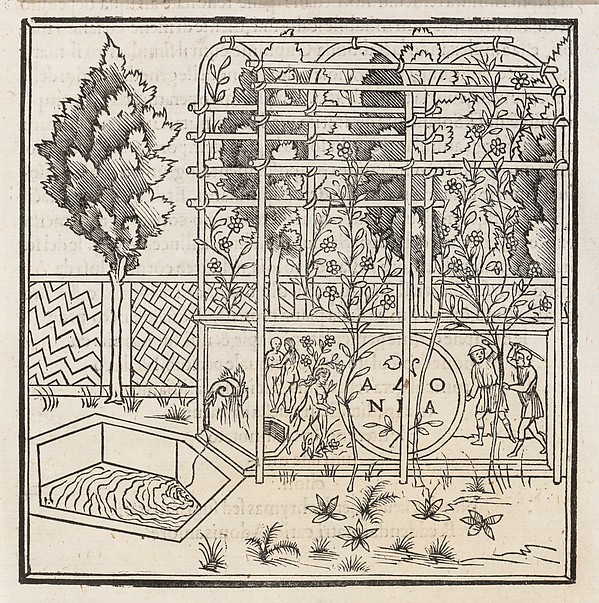 Hypnerotomachia Poliphili