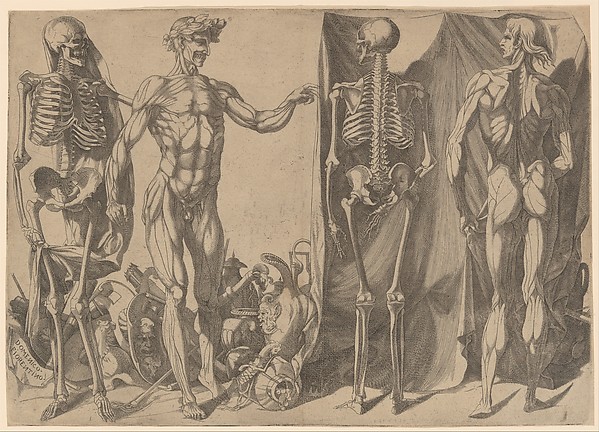 Domenico del Barbiere | Two Flayed Men and Their Skeletons | The Met