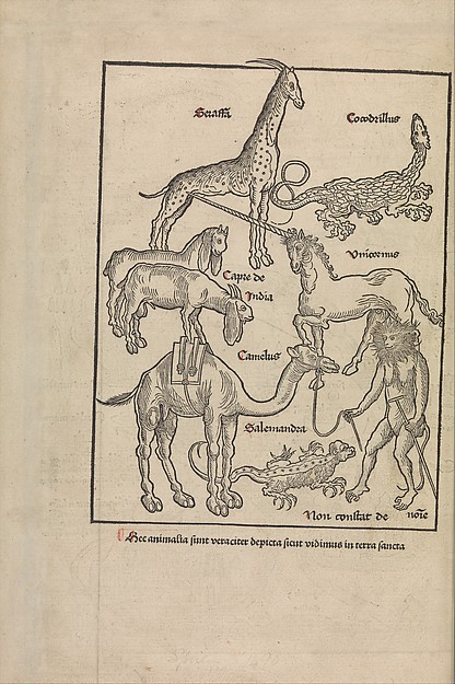 Peregrinatio in terram sanctam.