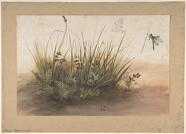 A Small Piece of Turf