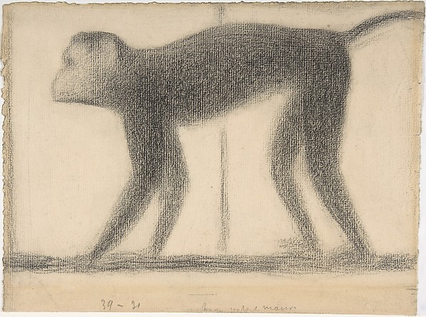 Monkey