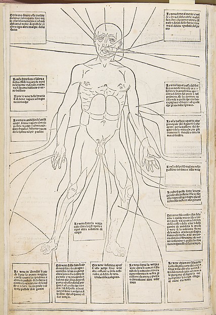 Fascicolo di medicina