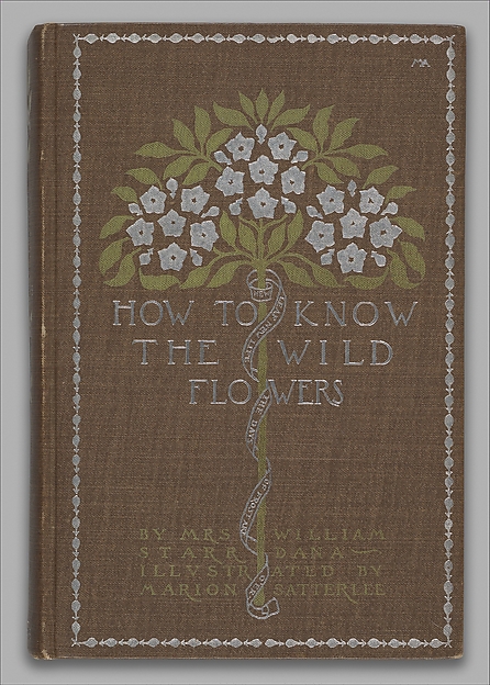 How to Know the Wild Flowers: A Guide to the Names, Haunts and Habits of Our Common Wild Flowers