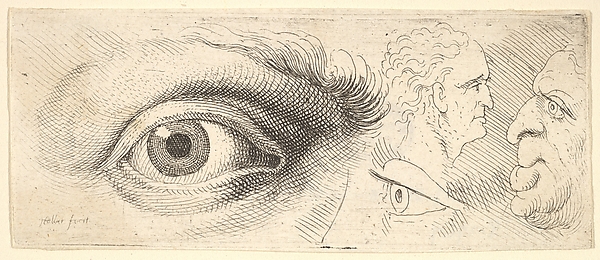 Two Eyes and Two Heads, from the series of Anatomical Drawings